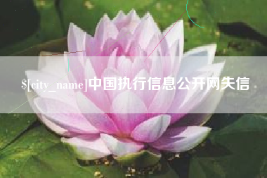 龙岩中国执行信息公开网失信