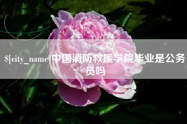 龙岩中国消防救援学院毕业是公务员吗