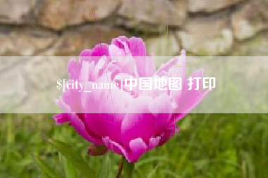 龙岩中国地图 打印